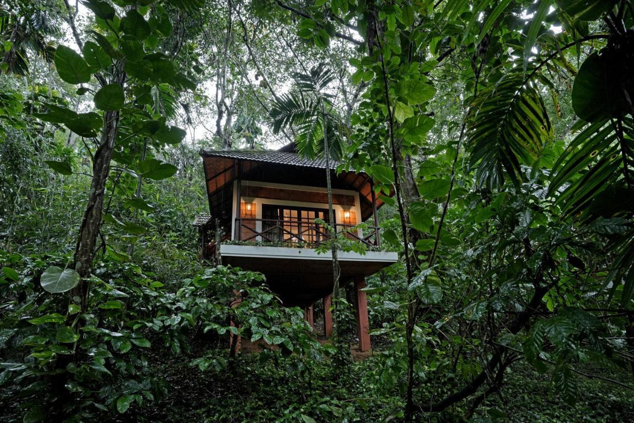 Coffee Acres Resort Калпетта Экстерьер фото