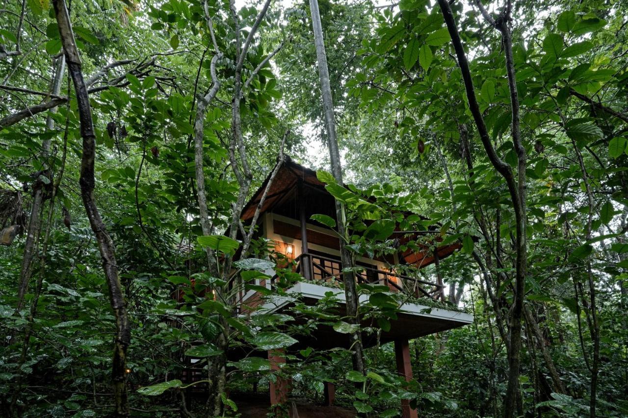 Coffee Acres Resort Калпетта Экстерьер фото