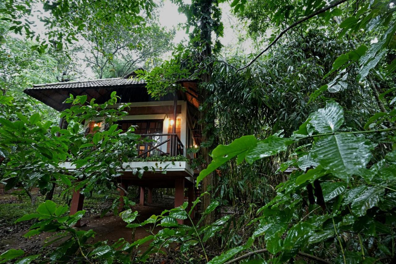 Coffee Acres Resort Калпетта Экстерьер фото