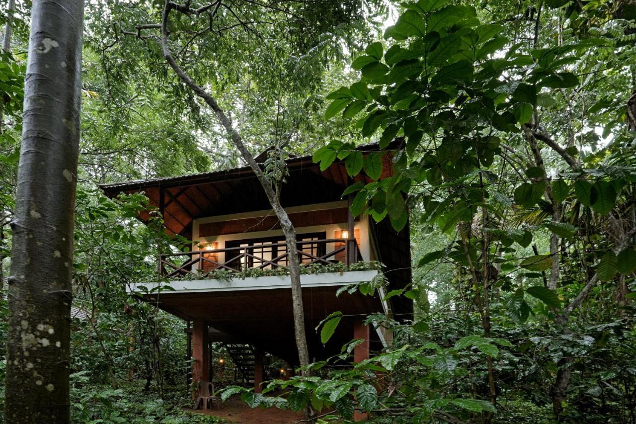 Coffee Acres Resort Калпетта Экстерьер фото