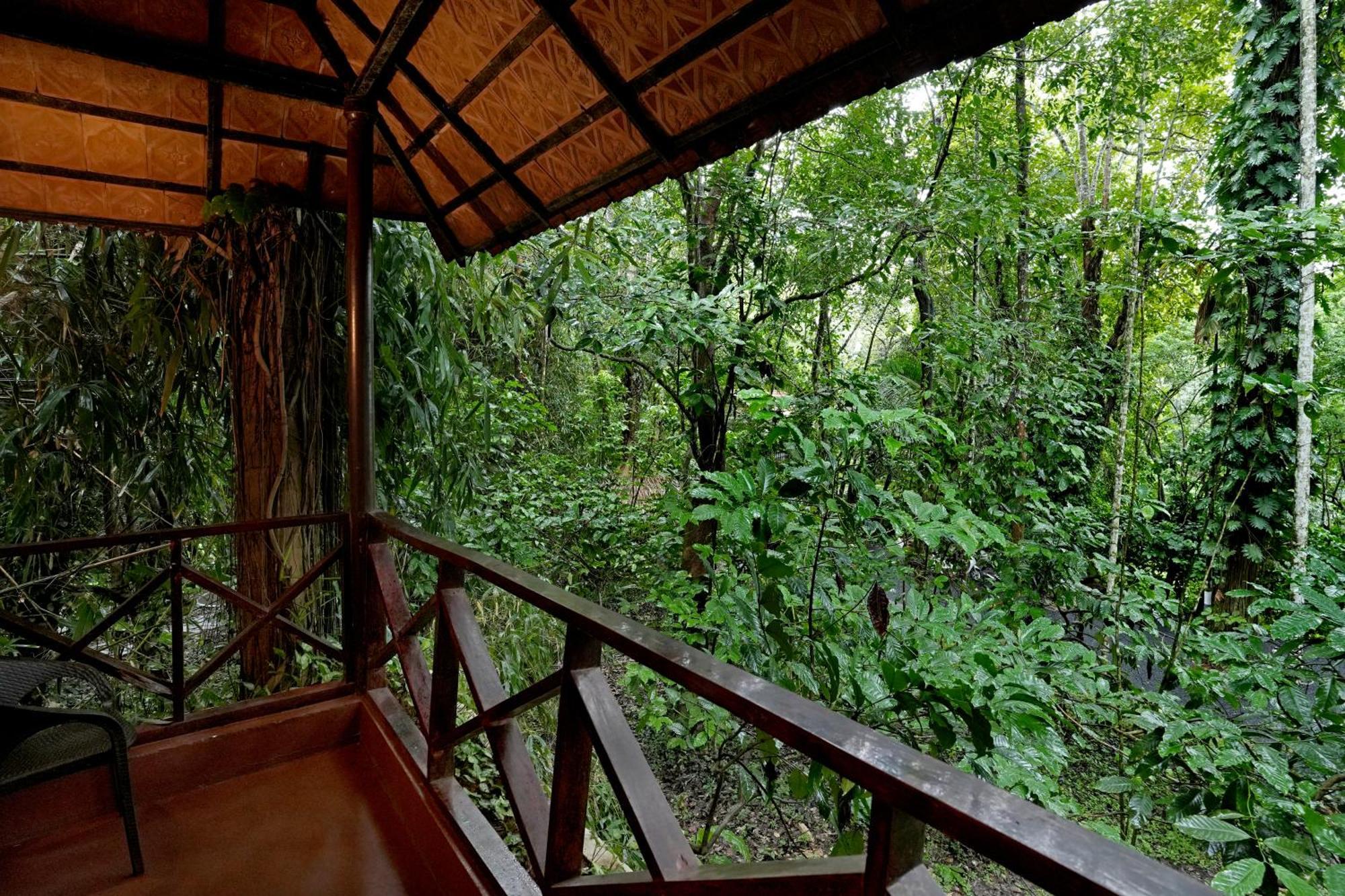 Coffee Acres Resort Калпетта Экстерьер фото